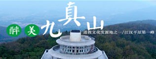 c骚逼video区