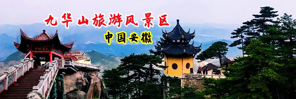 免费收看大鸡巴操逼