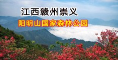 男人暴操女人网站